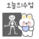 노비스 짐 입암본점 이미지