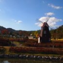 현충원 산책길 이미지