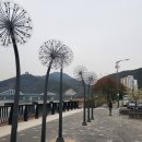 단양보건소 건너편 이미지