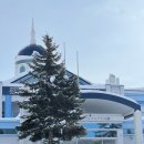 이레디자인 | 삿포로 비에이 투어 인디고트래블 이레 가이드님 후기 내돈내산