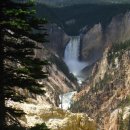 옐로우스톤 이미지