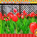 간촌공원 이미지