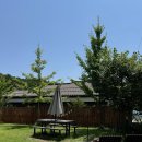 범브로하우스 | 강릉키즈펜션 - 아이들 놀기 좋은 범브로하우스