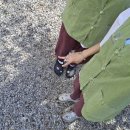 스테이 다연 이미지