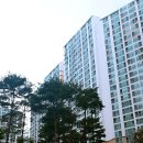 일신공원 | 용호동의 숨겨진 진주, 과연 어디? 현대비치 vs 일신님, 목숨 건 임장 후기! (내 돈 어디에?)