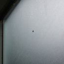 대성닭집 이미지