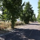 사문진교 이미지