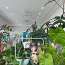메타포레스트 이미지
