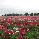 강나루생태공원 이미지