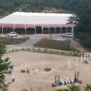 휘명승마아카데미 이미지