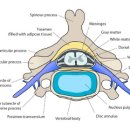 이민준한의원 이미지