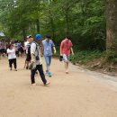 맑은동산단기보호센터 이미지