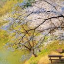 엔젤리너스 진주금호못점 이미지