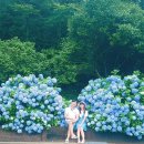 해금강로 이미지