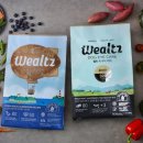 디비에스 주식회사 이미지