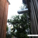 수원-0361 이미지