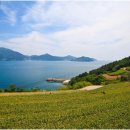 창선대교타운 관광안내소 이미지