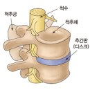 정림한의원 이미지