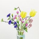 보테니컬아트 이미지