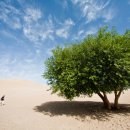 자연과사람 이미지