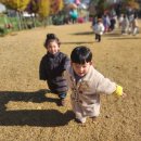 연세어린이집 이미지