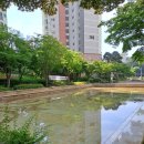 삼익2차아파트정문 앞 이미지