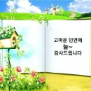 10월15일 화요일 제주방 출석부 이미지