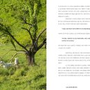 하늘부부농장 이미지