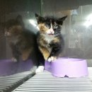 이상윤동물병원 이미지