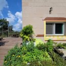 365행복마을 이미지