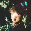 릴리슈슈
