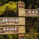 솔향기길1코스(당봉) 이미지