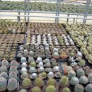 휘성농장 이미지