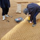 대학약국 이미지