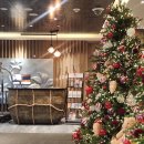 대화사우나 | 대구 메리어트 호텔 클럽룸 숙박 후기(조식 뷔페,헬스장,수영장,사우나,해피아워 라운지 정보)