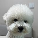 플라이봉 이미지