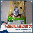 카길퓨리나 | 길냥이를 위한 새로운 선택 뉴트리나 프라임 캣 그린 내 돈 내산 후기