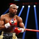 복싱대장 이미지