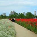 태화강국가정원 이미지