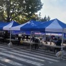 라인댄스 B반 | 드디어 마주한 월피동주민센타발표회 라인댄스B반