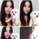 수현 이미지