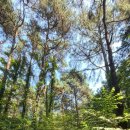 북성저수지 이미지