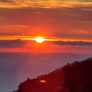 김성옥 인권행정사사무소 이미지