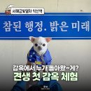 성당초교 | 감옥에서 누가 돌아왔~게? 풍향중 익산 가볼만한곳 교도소세트장 애견동반 무료 관람
