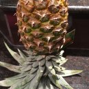 인애유통 이미지