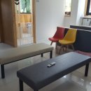 소망애견미용실 이미지