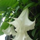 송정하우스 이미지