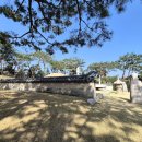 영릉로 | 4월 여주 가볼만한곳, 세종대왕릉 한정 개방 진달래 숲길 힐링 산책(방문일:26.4.11)