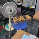 현주분식 이미지