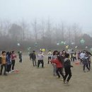 용유초등학교 Daum카페